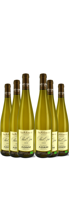 Colis de 6 Bouteilles PINOT GRIS "LES NATURES" 2016