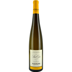 Alsace Le Pinot Gris Letzenberg 2017