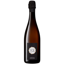VSIG*, Muscat Bulles