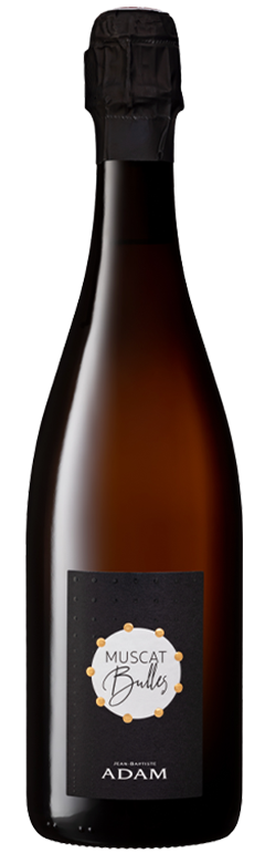 VSIG*, Muscat Bulles