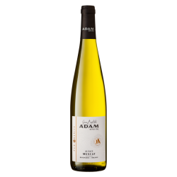 Alsace Muscat "Pur-Granite" 2024