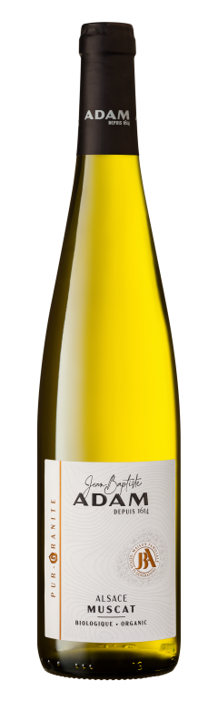 Alsace Muscat "Pur-Granite" 2024