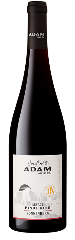 Alsace Le Pinot Noir Sonnenberg 2022 (Fût de Chêne)