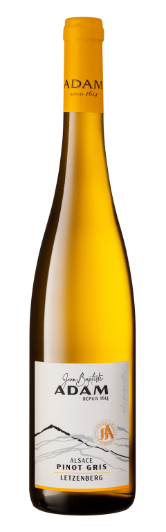 Magnum - Pinot Gris Letzenberg Sec "Vin de Gastronomie" 2018