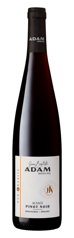 Pinot-Noir Pur-Granite millésime 2023