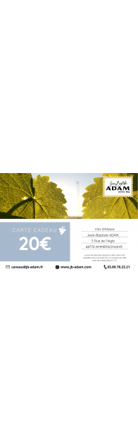 carte cadeau 20€