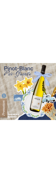 Colis N°2 - Pinot Blanc “Pur Granite”