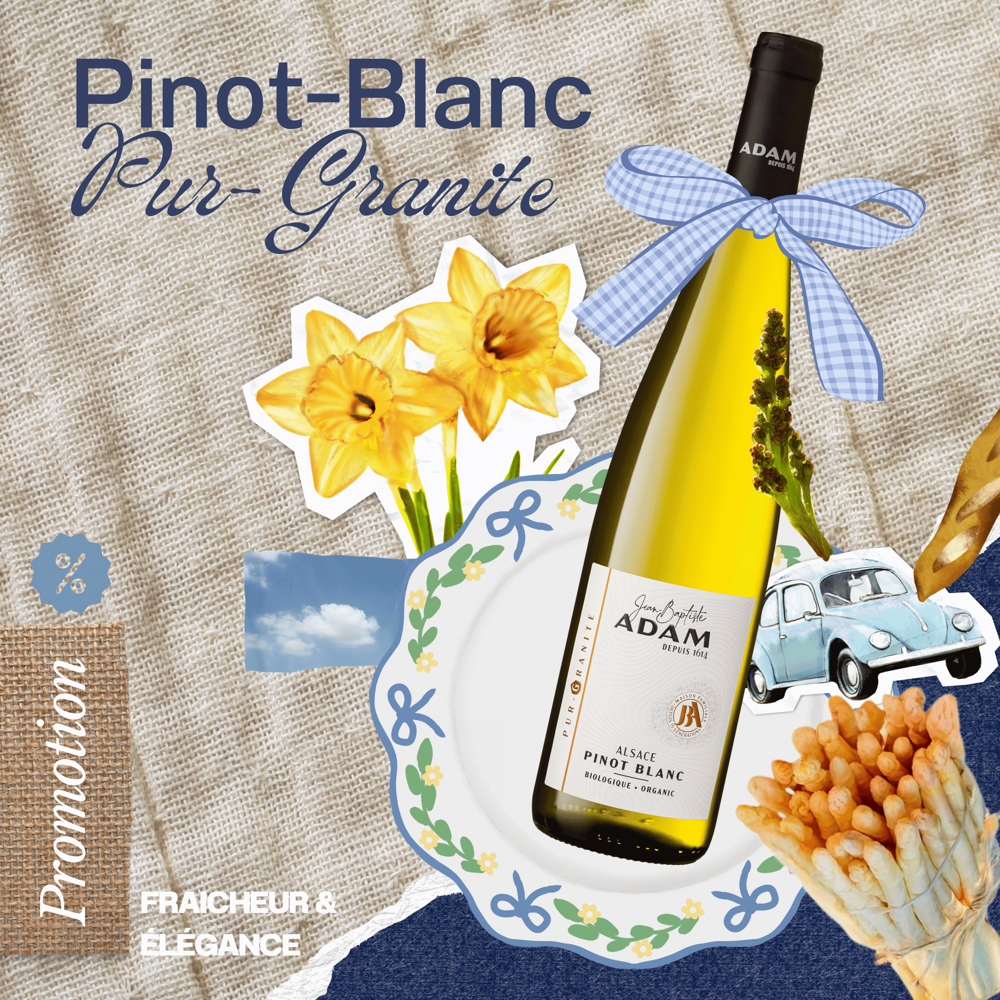 Colis N°2 - Pinot Blanc “Pur Granite”
