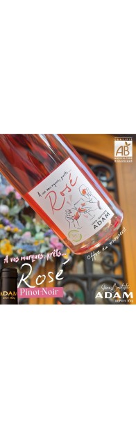 Colis N°2 - Le Pinot-Noir Rosé “ A vos marques, prêts ? Rosé ! ” Un rosé de terroir, sec, frais et élégant !