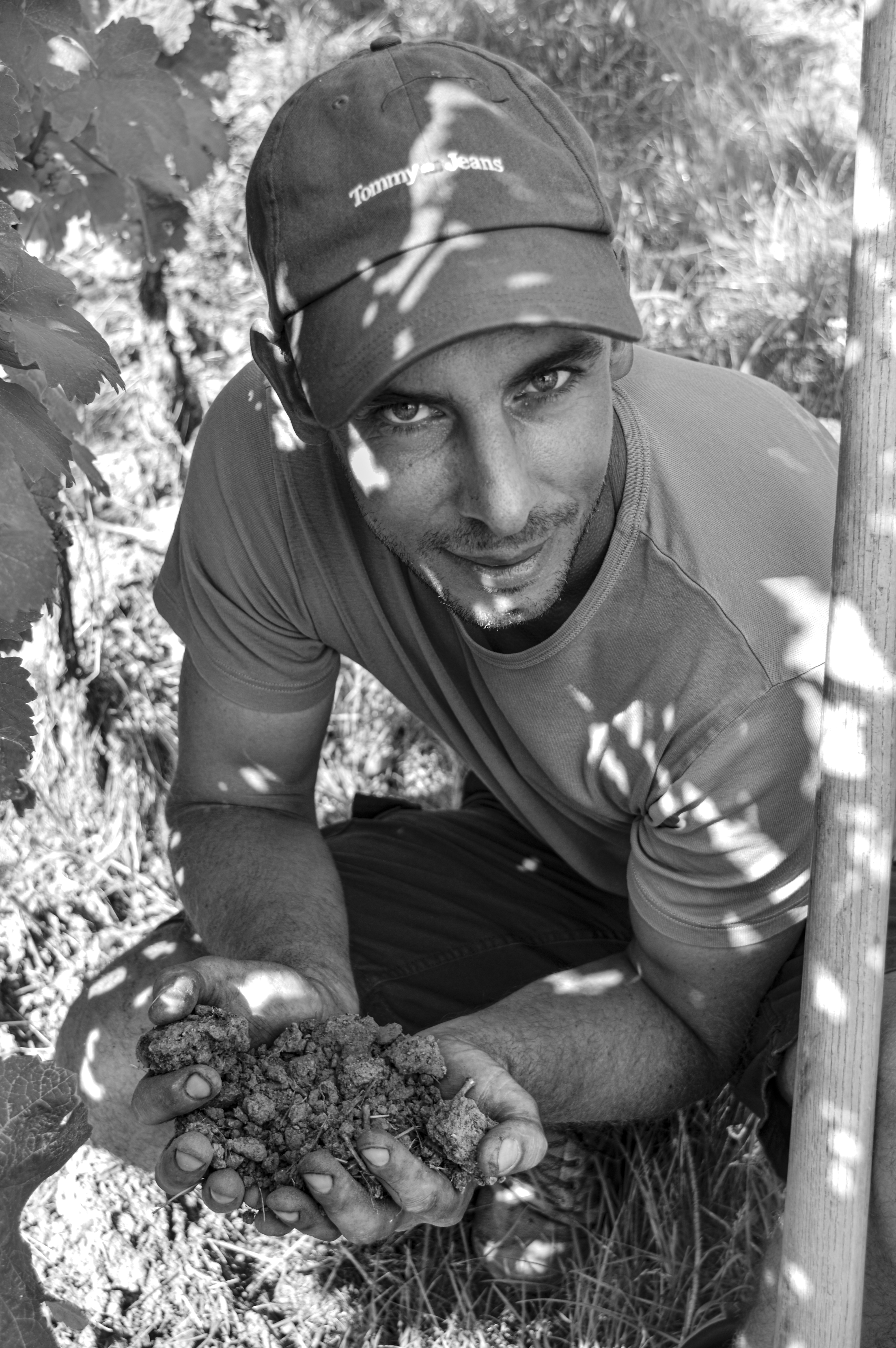 Archives du vignoble Jean-Baptiste Adam