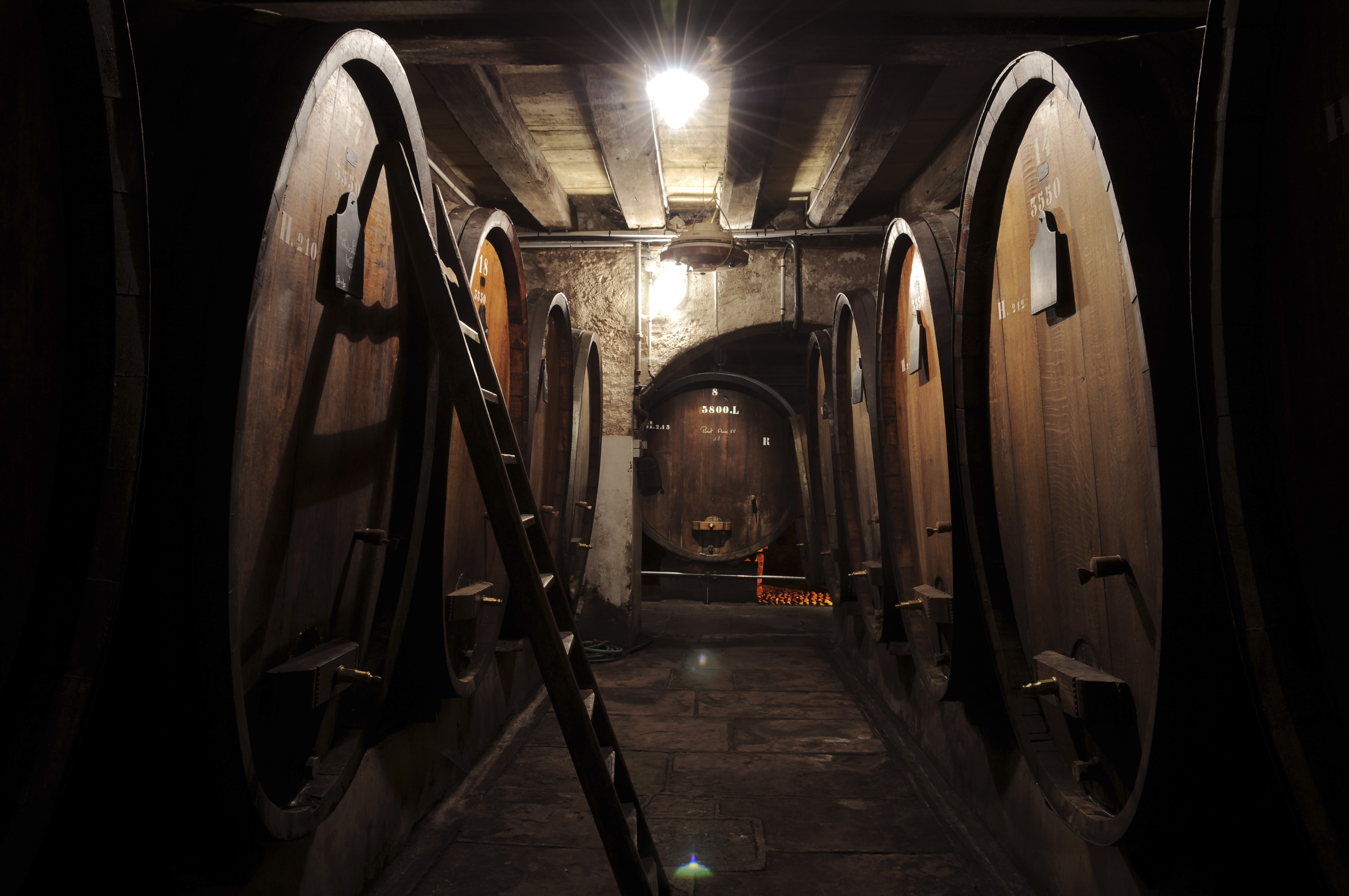 Foudres anciens du Domaine Jean-Baptiste Adam