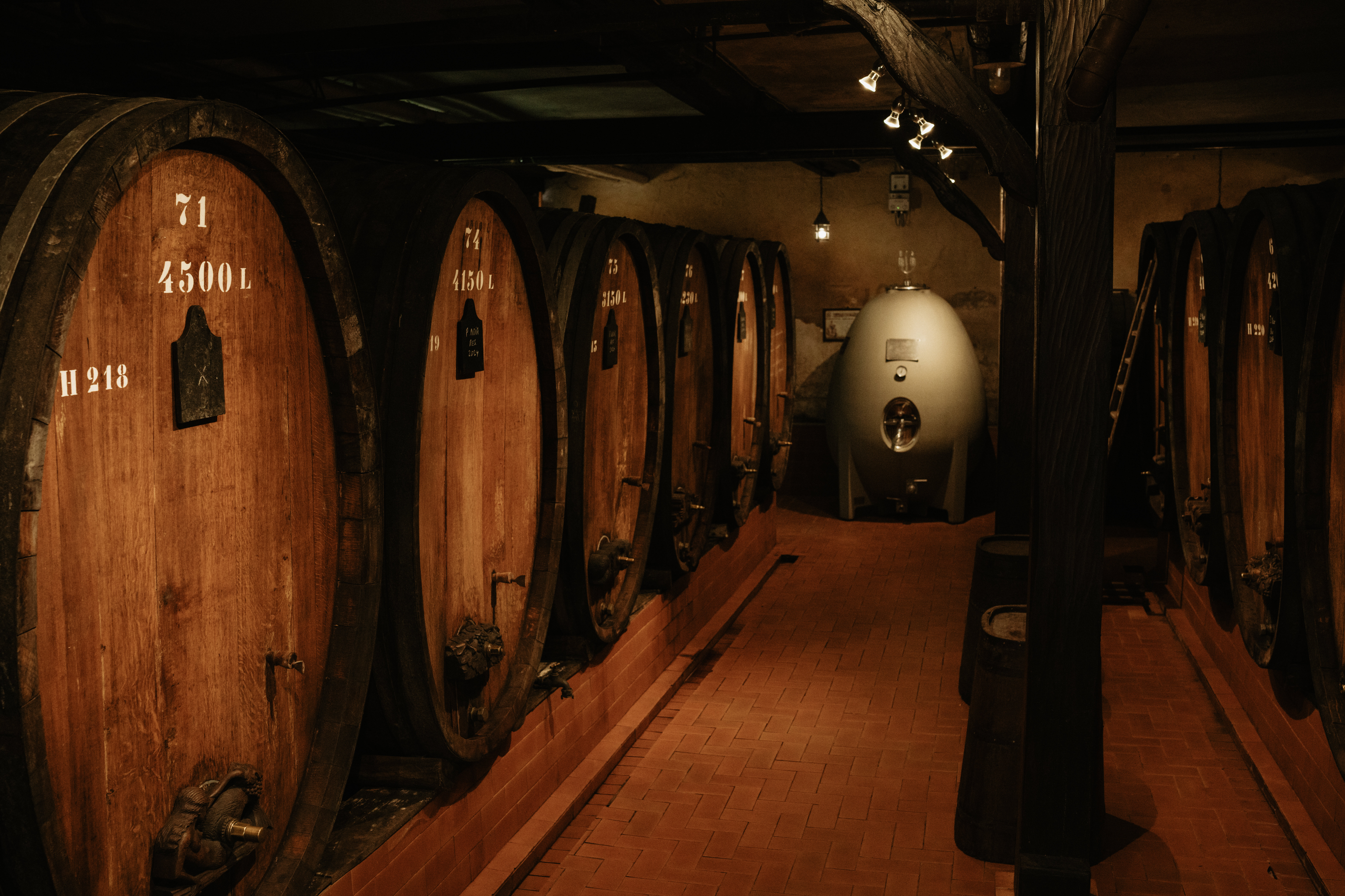 Cave du Domaine Jean-Baptiste Adam