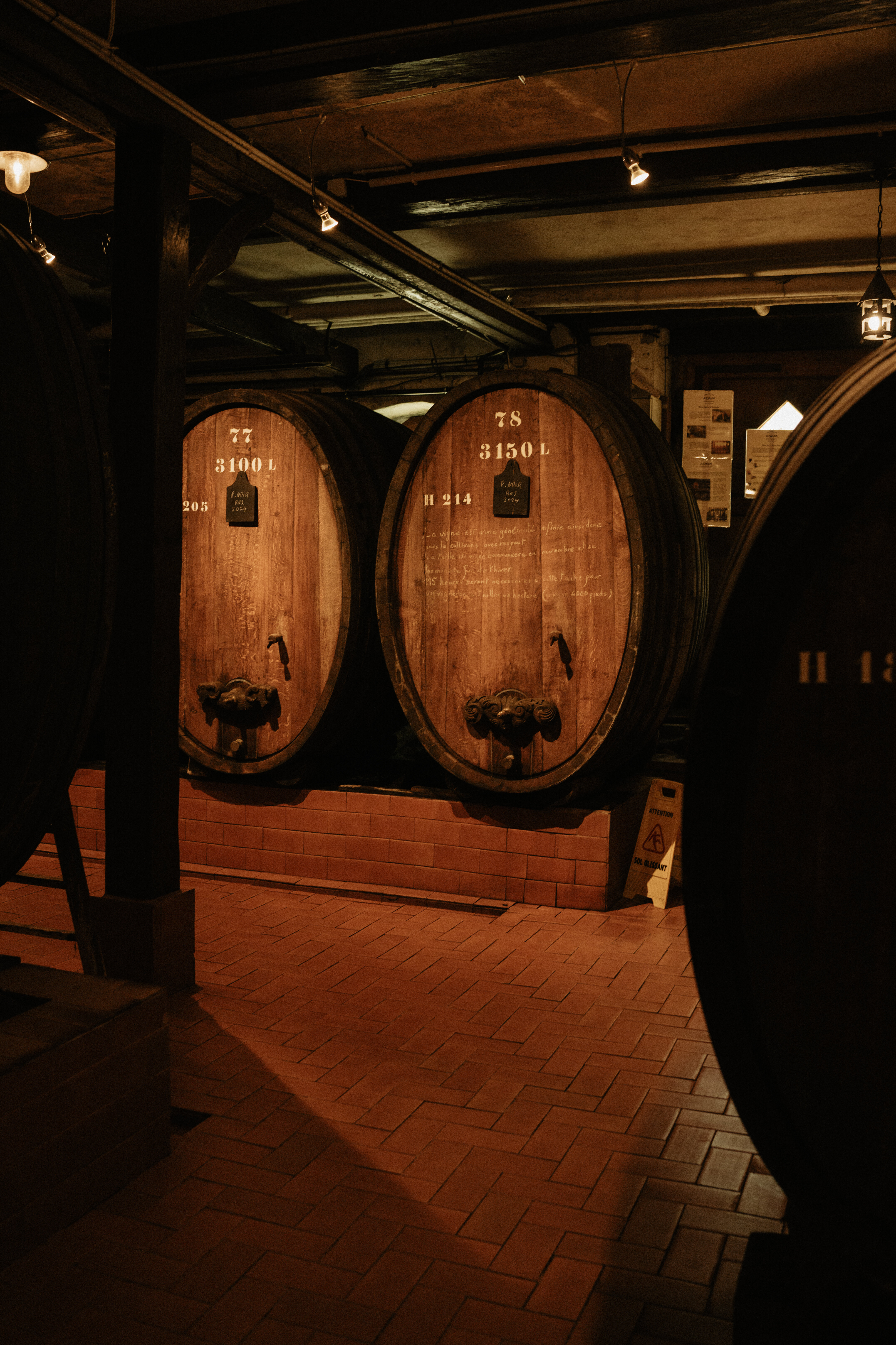 Cave du Domaine Jean-Baptiste Adam