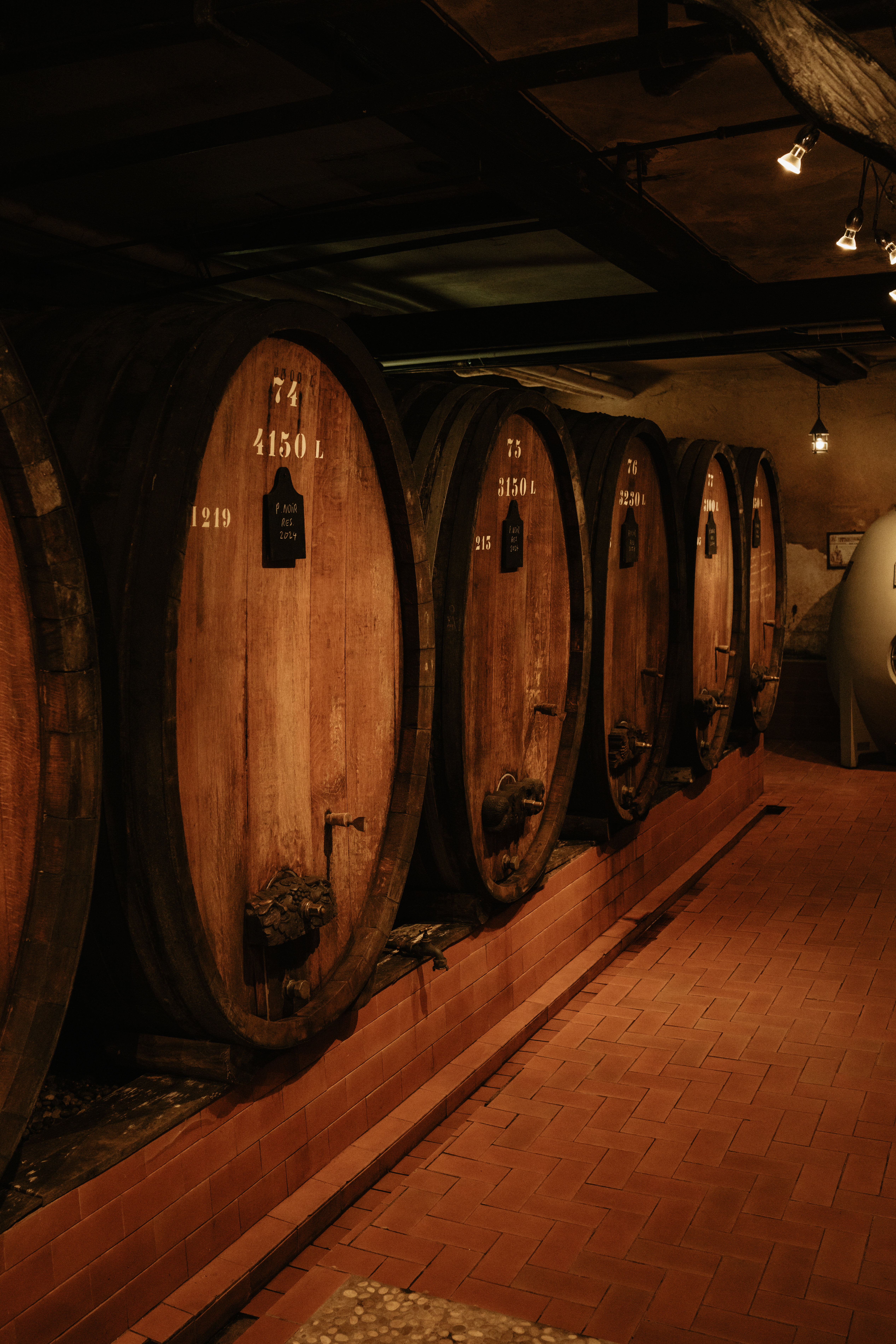 Cave du Domaine Jean-Baptiste Adam