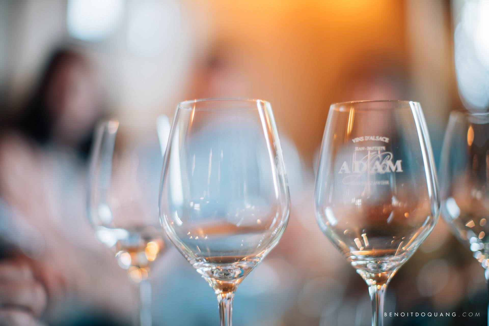 Dégustation des vins Jean-Baptiste Adam